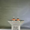CP66B1EF254K High Voltage Capacitor 0.25 MFD 600 VDC P/N 2145 Chicago Condenser Corp