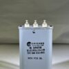 CAM4253-2M2X 2×.425 uF 2000 VDC Capacitor