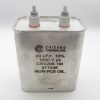 CSV206-1M 20 uF 1 KVDC Capacitor